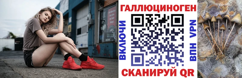 Галлюциногенные грибы мицелий  Видное 